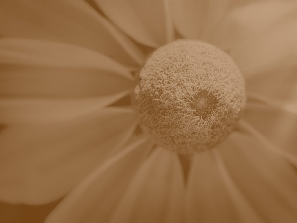 The Weight of Decisions