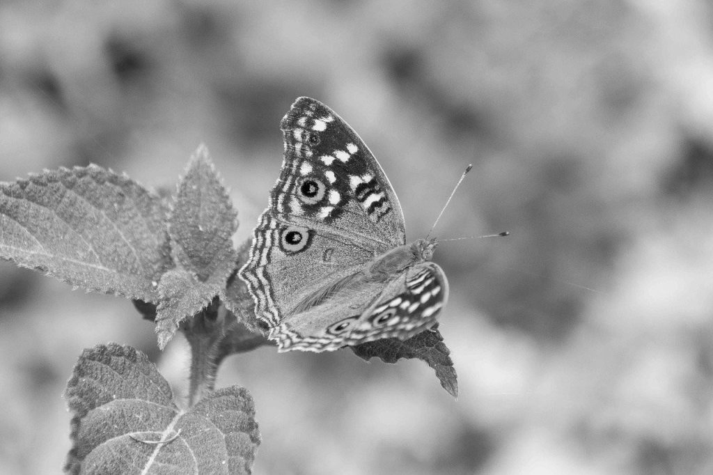 Why Deadlines Are Lies We Tell Ourselves